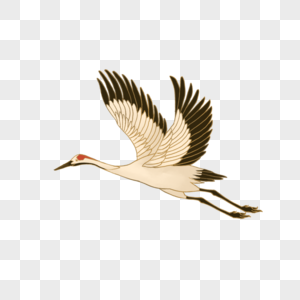 翱翔飞翔的仙鹤素材
