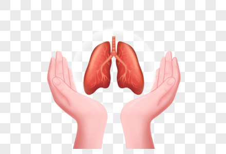 双手保护肺部图片
