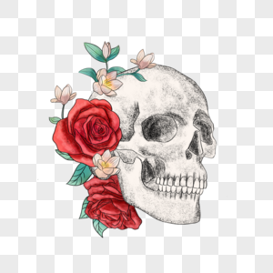 头骨和花卉图片