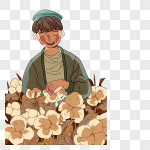 摘棉花的新疆小伙图片素材