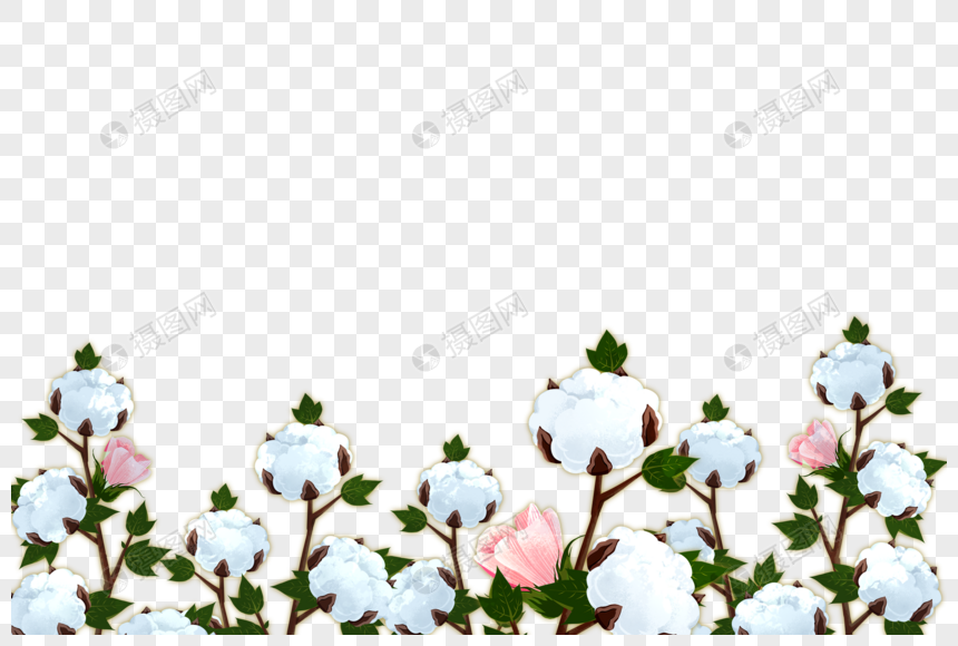 新疆棉花