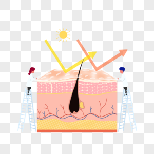 皮肤防晒图片