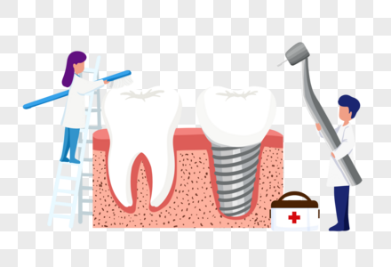 种植牙结构分段的牙龈高清图片