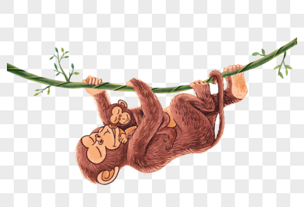 睡在母亲怀中的小猴子图片
