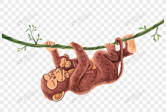睡在母亲怀中的小猴子图片