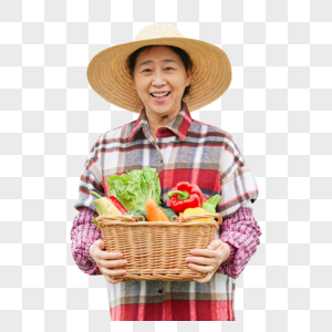 蔬菜大棚内农民形象图片