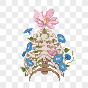 怒放的牵牛花肋骨与花素材