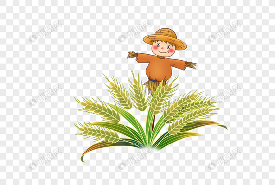 麦子和稻草人图片