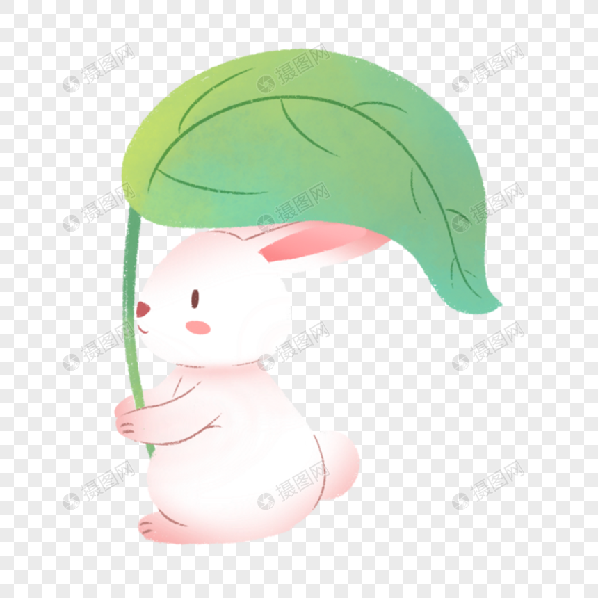 用树叶遮雨的兔子