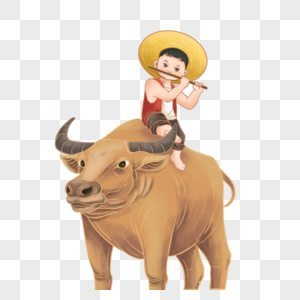 贵放牛图片