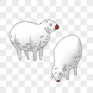 小羊绵羊放羊高清图片