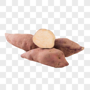 番薯图片