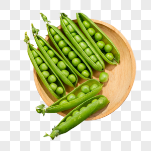 豌豆绿色豆荚高清图片
