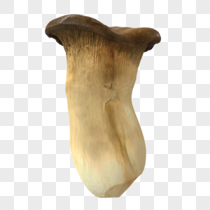 蘑菇3D模型图片