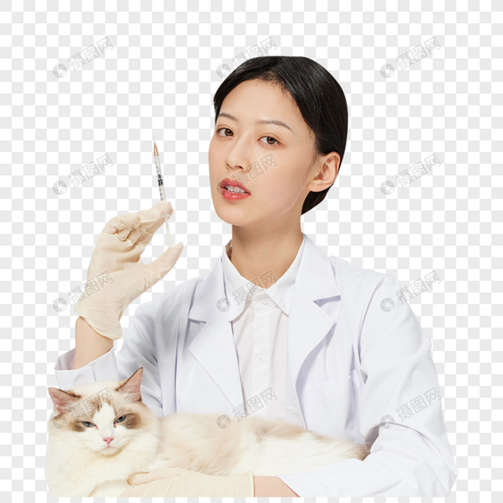 女性宠物医生给布偶猫咪扎疫苗图片