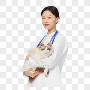 女性宠物医生抱着布偶猫咪高清图片