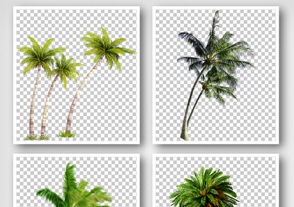 绿色椰树PNG元素高清图片