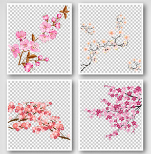 手绘粉红色漂亮樱花装饰PNG元素图片