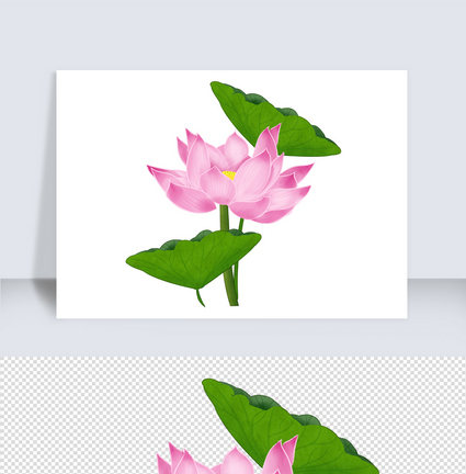 淡雅清新粉色荷花中国风手绘花卉图片