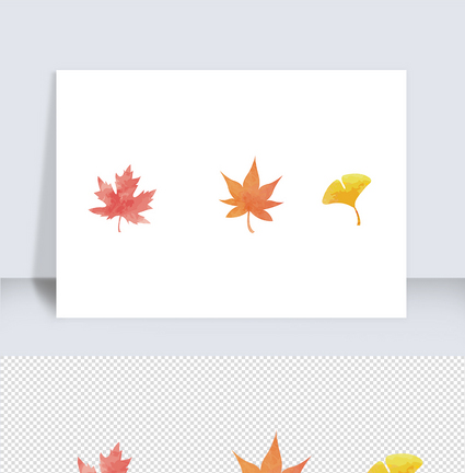 秋季立秋落叶枫叶银杏叶元素图片