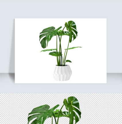 植物c4d元素图片