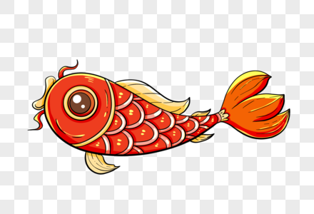 锦鲤金鱼红尾鱼高清图片