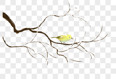 树枝上的小鸟图片