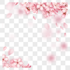 浪漫的春天美丽的樱花边框图片