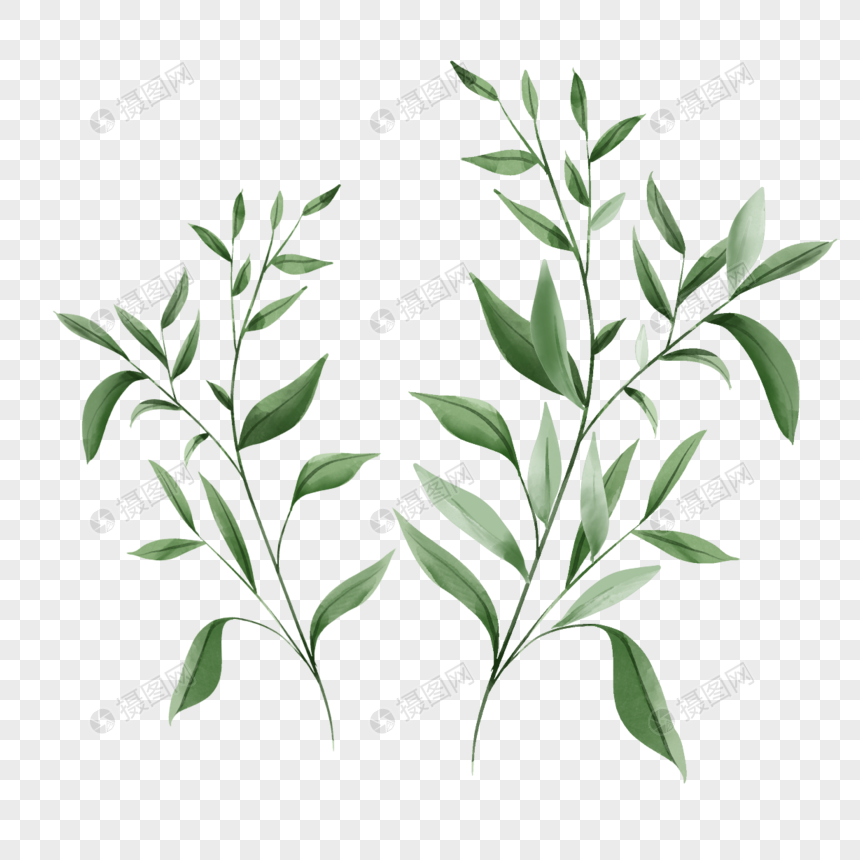 夏季绿色树枝水彩植物树叶元素素材下载 正版素材 摄图网