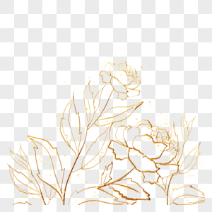 金色牡丹植物花卉线稿边框图片