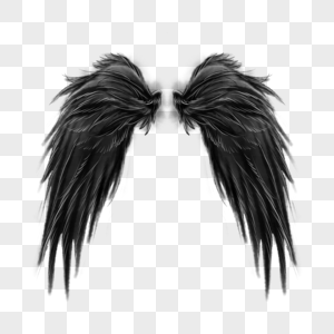 黑色恶魔魔鬼天使羽毛翅膀图片
