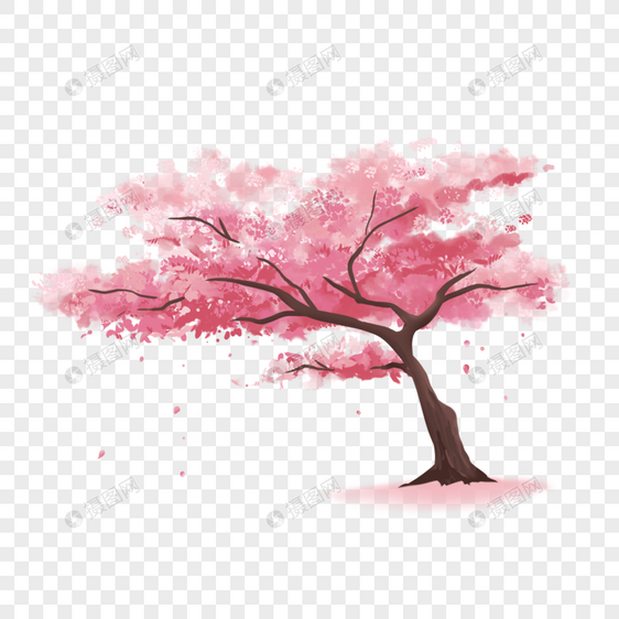 美丽的粉色水彩樱花树图片