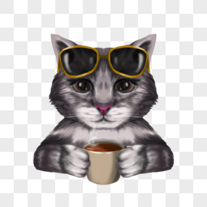 喝咖啡太阳镜猫咪肖像图片