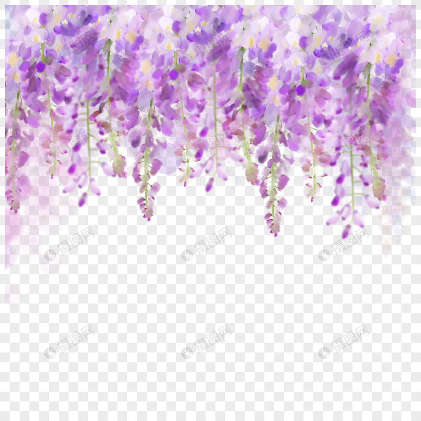 水彩花卉紫藤花紫色花串元素素材下载 正版素材 摄图网