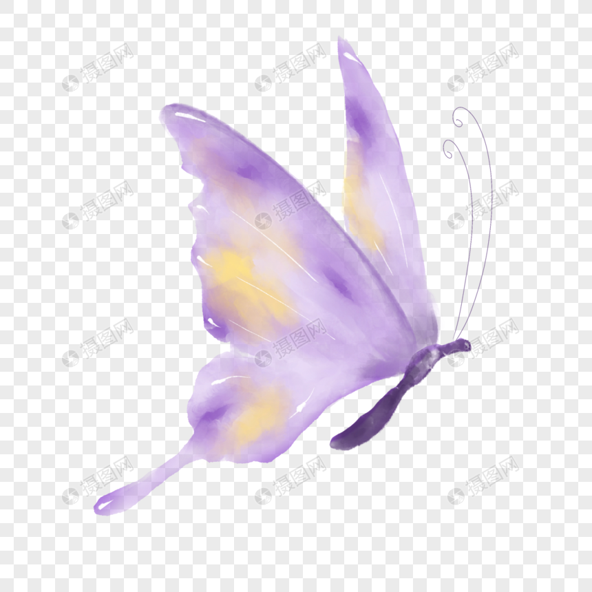 渐变唯美淡紫色水彩蝴蝶图片