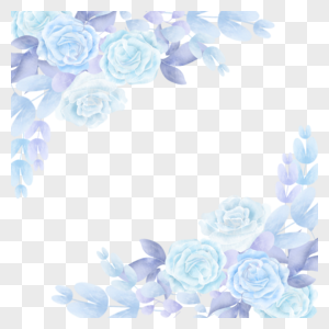 蓝色花朵精美玫瑰花蓝金花卉植物叶子图片
