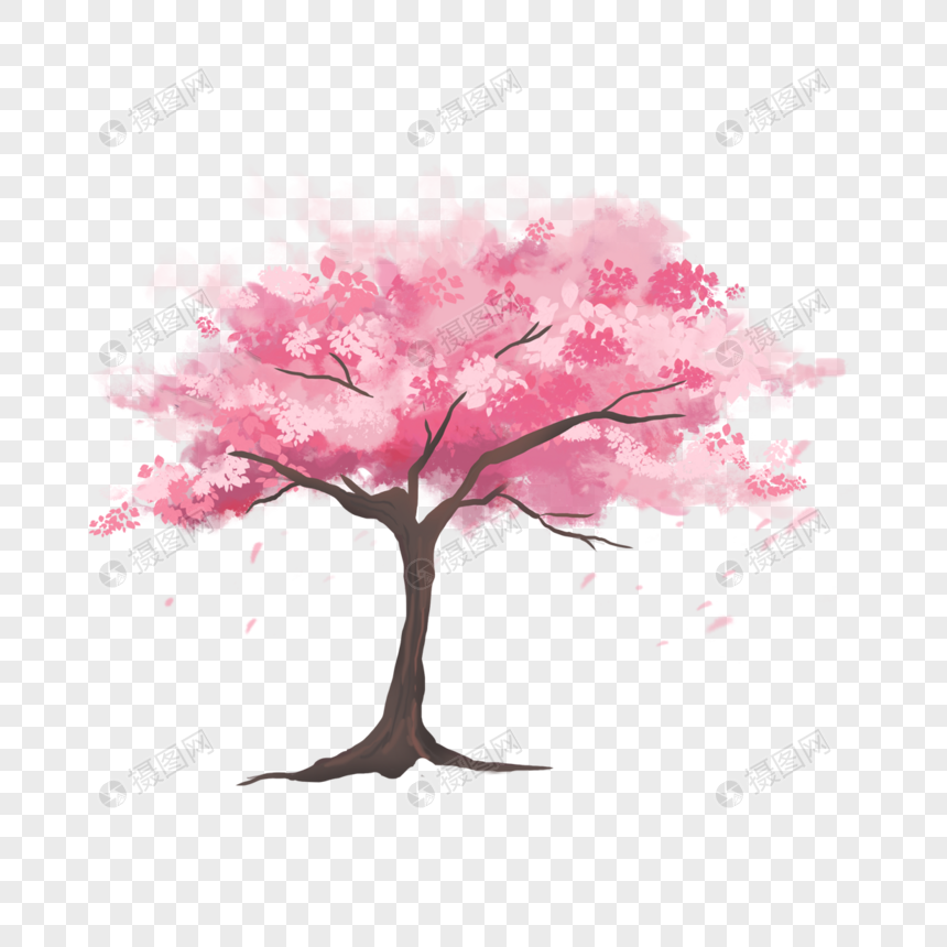 美丽的水彩粉色樱花树图片