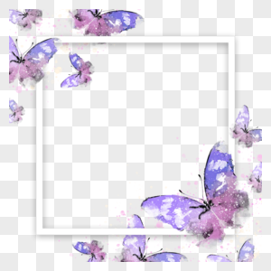 水彩紫色蝴蝶正方形边框图片