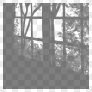 黑白树木两个窗口叠加阴影图片