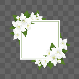 正方形茉莉花卉边框图片