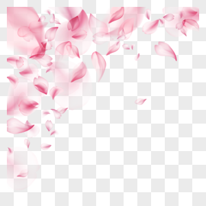 粉色透明浪漫花瓣光效樱花边框图片