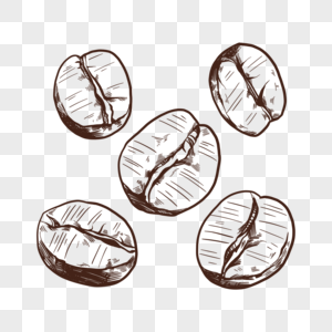 五颗线稿方式咖啡豆图片
