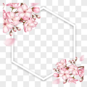 春天多边形粉色花朵樱花边框图片