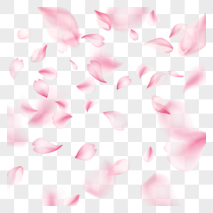 粉色唯美花瓣光效樱花边框图片