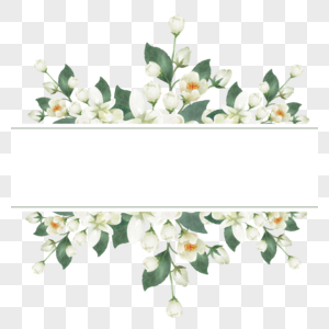 茉莉花边框婚礼水彩花卉图片