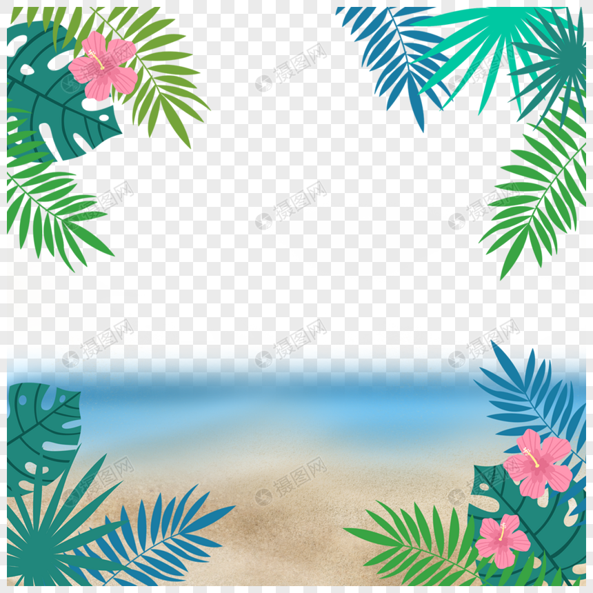夏季热带植物棕榈叶海边沙滩图片