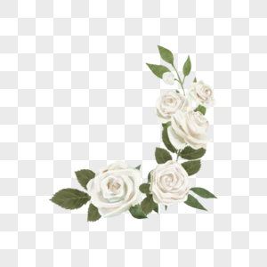 白玫瑰水彩婚礼花卉植物图片