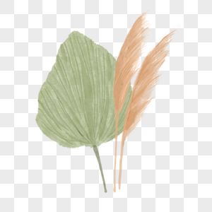 水彩潘帕斯草与干扇棕榈叶图片