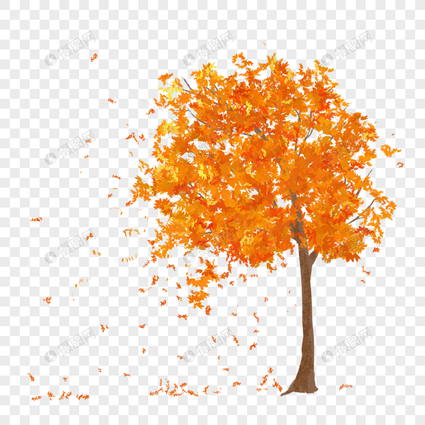 秋天金色叶子树木插图图片