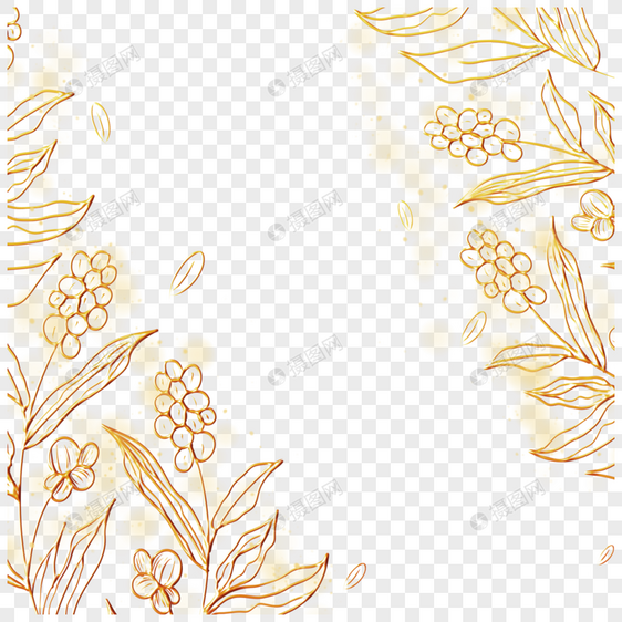 金色花草植物花卉线稿边框图片